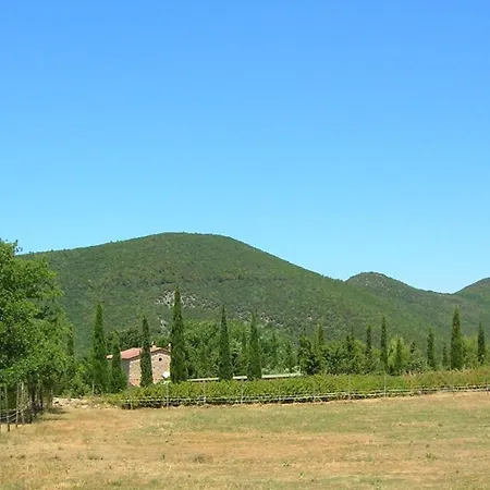In Mit Garten Appartement Castellina Marittima