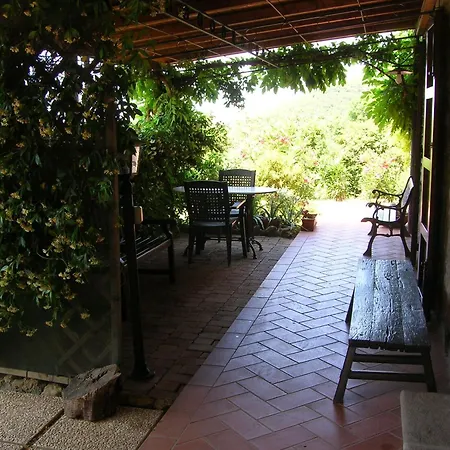 Appartement In Mit Garten Castellina Marittima
