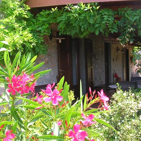Appartement In Mit Garten Castellina Marittima